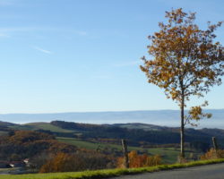 Les Balades d’Yves : Saint-Just-la-Pendue dans le Forez<p class='ctp-wud-title' style= 'font-family:inherit; font-size: 12px; line-height: 13px; margin: 0px; margin-top: 4px;'><span class='wudicon wudicon-tag' style='font-size: 12px;'> </span><a href=