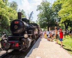 Le Train de L’ardèche ou Mastrou pour les connaisseurs<p class='ctp-wud-title' style= 'font-family:inherit; font-size: 12px; line-height: 13px; margin: 0px; margin-top: 4px;'><span class='wudicon wudicon-category' style='font-size: 12px;'> </span><a href=